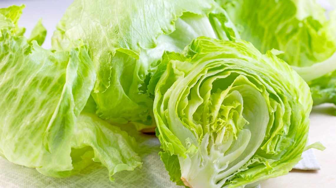 салат-айсберг-користь