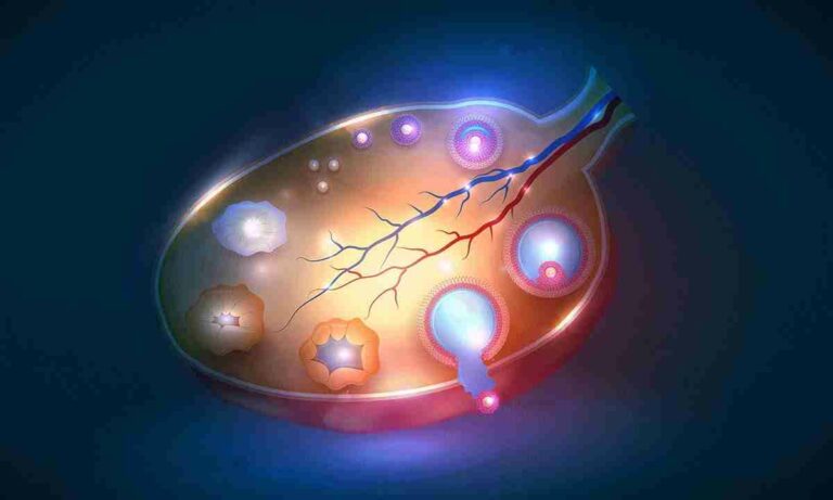 фолікули-в-яєчниках