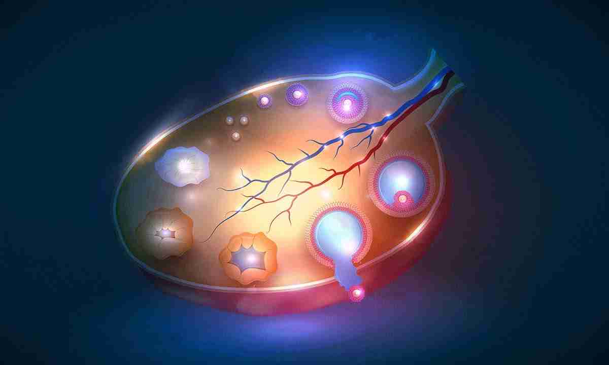 фолікули-в-яєчниках