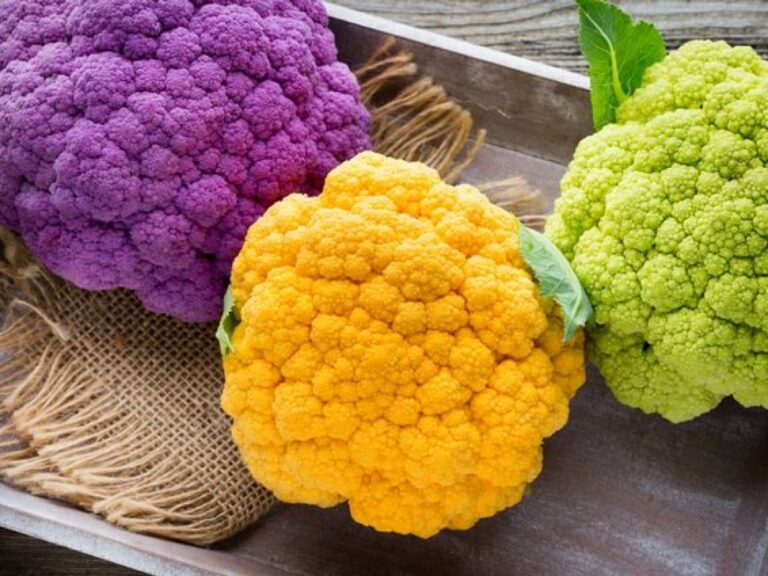 цвітна-капуста-користь