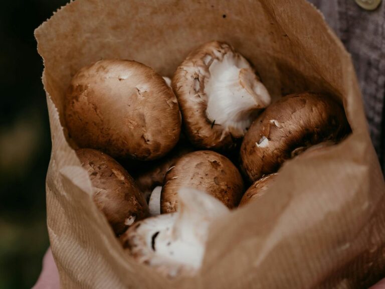 як-зберігати-шампіньйони