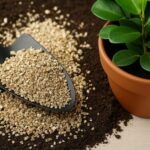 вермикуліт-це