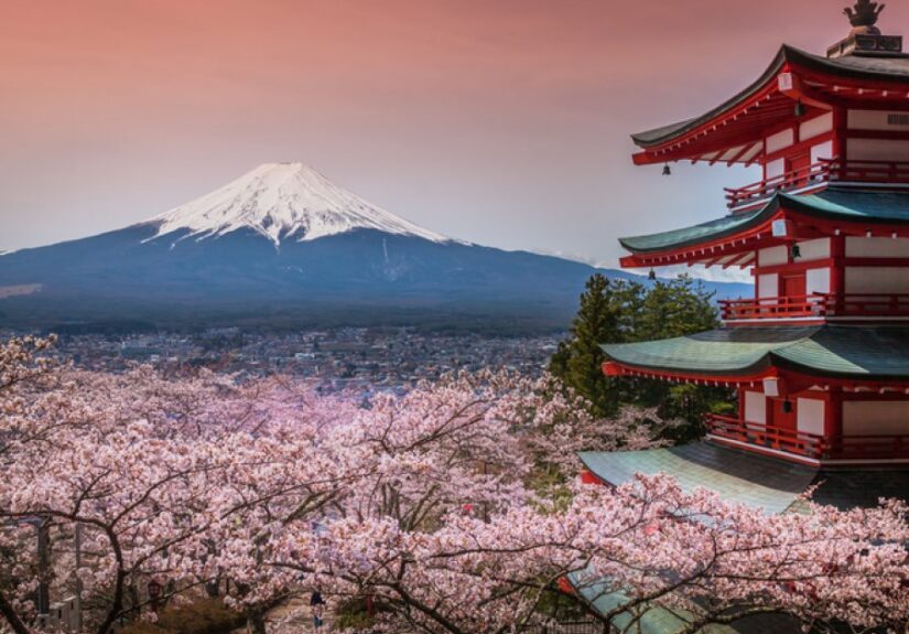 коли-цвіте-сакура