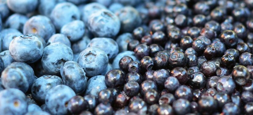 лохина-і-чорниця-різниця